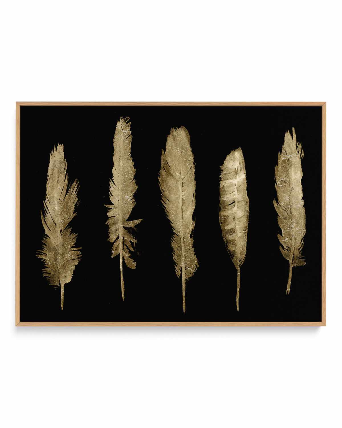 Gold Feathers II | Framed Canvas Art Print