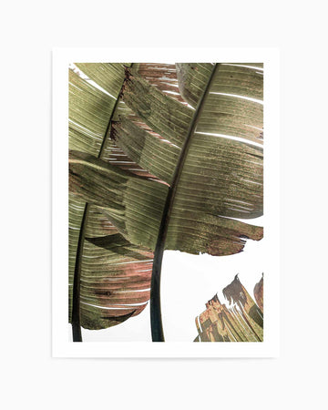 Gold Leaf By Clint | Art Print from Olive et Oriel where you can shop wallpaper and artworks online