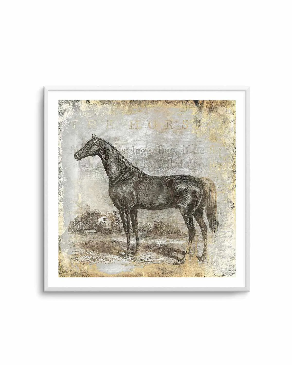 Gold Stallion I Art Print from Olive et Oriel where you can shop wallpaper and artworks online