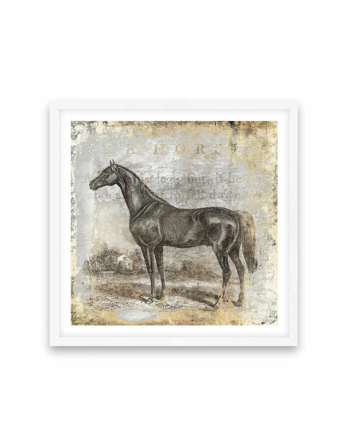 Gold Stallion I Art Print from Olive et Oriel where you can shop wallpaper and artworks online