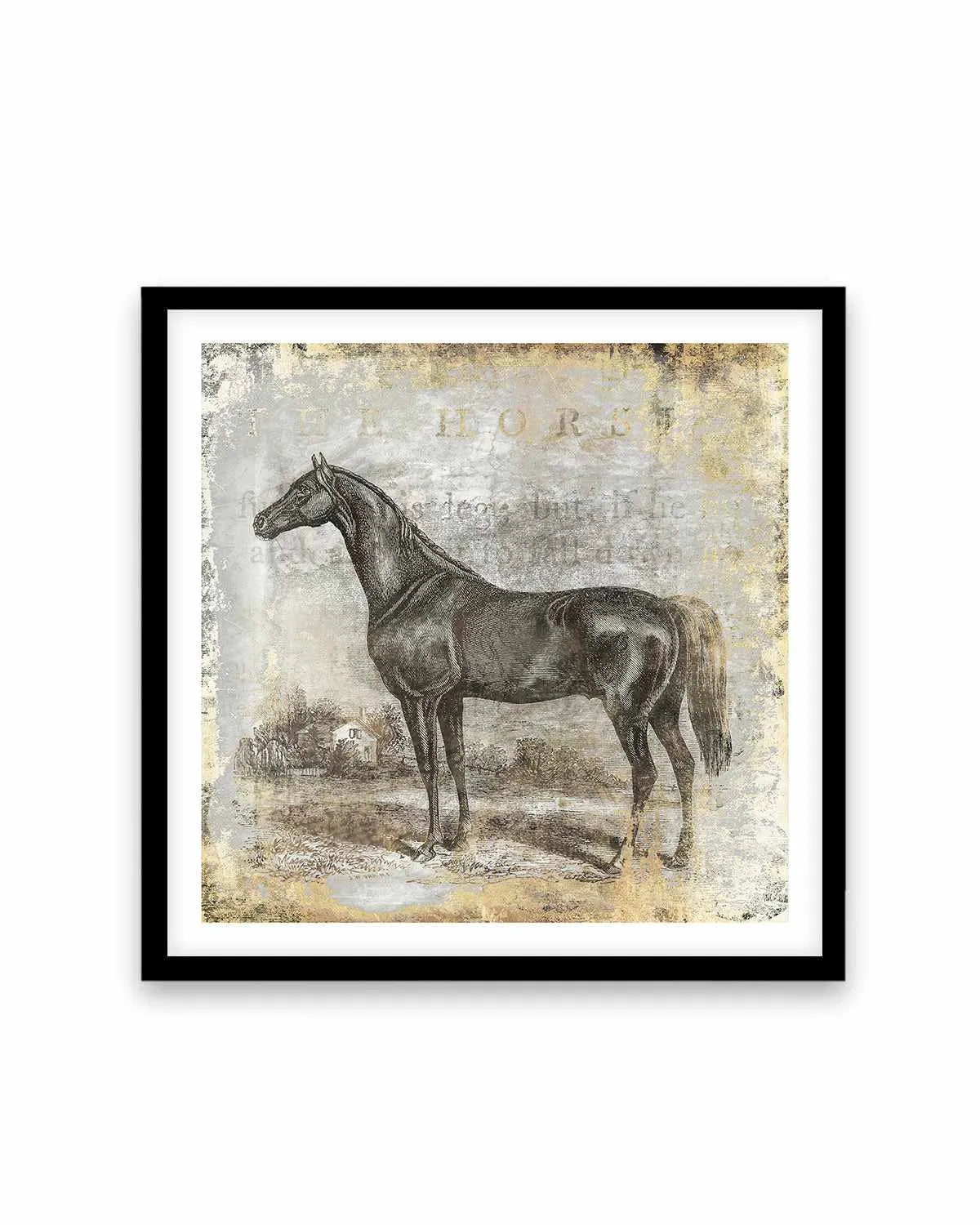 Gold Stallion I Art Print from Olive et Oriel where you can shop wallpaper and artworks online