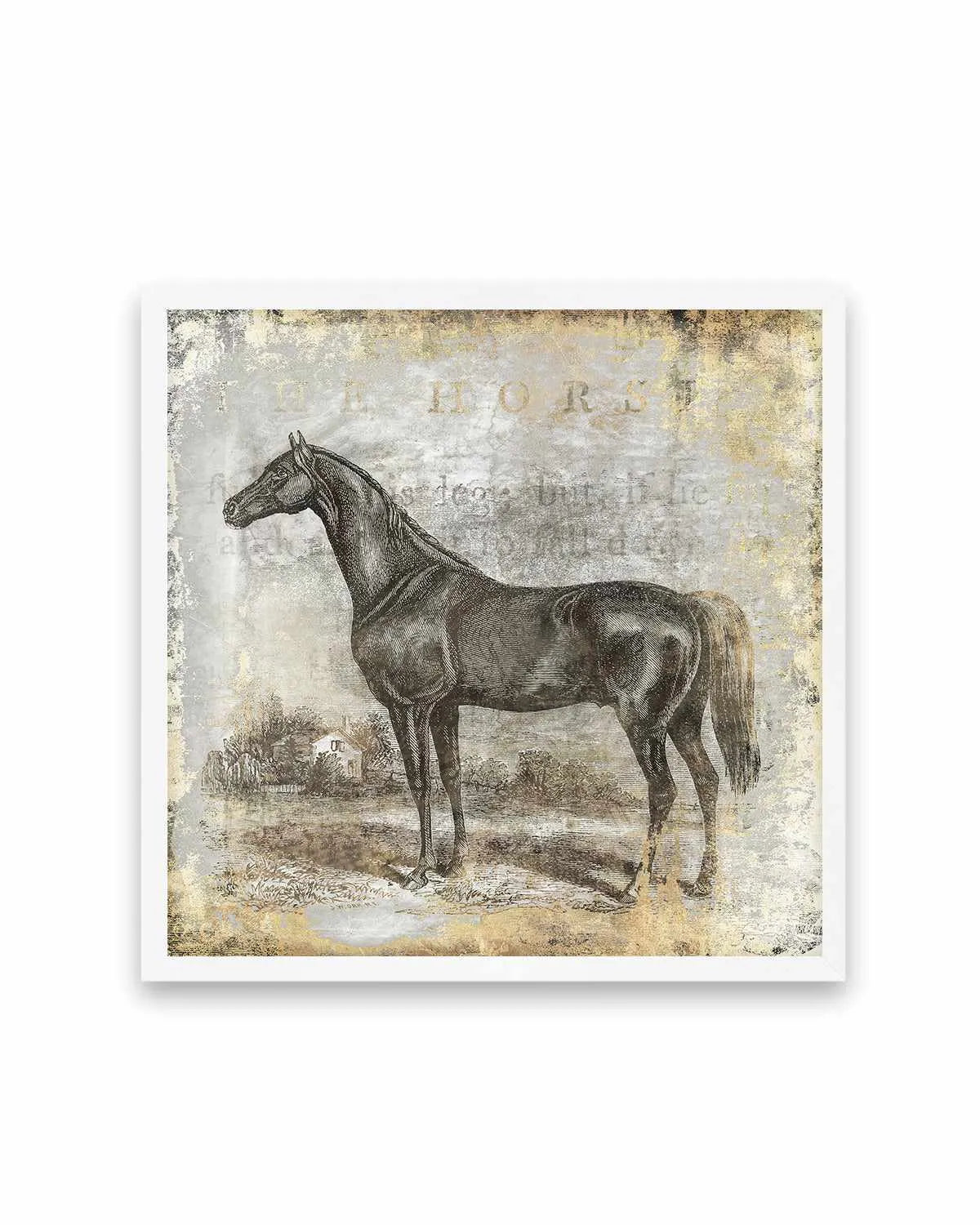 Gold Stallion I Art Print from Olive et Oriel where you can shop wallpaper and artworks online