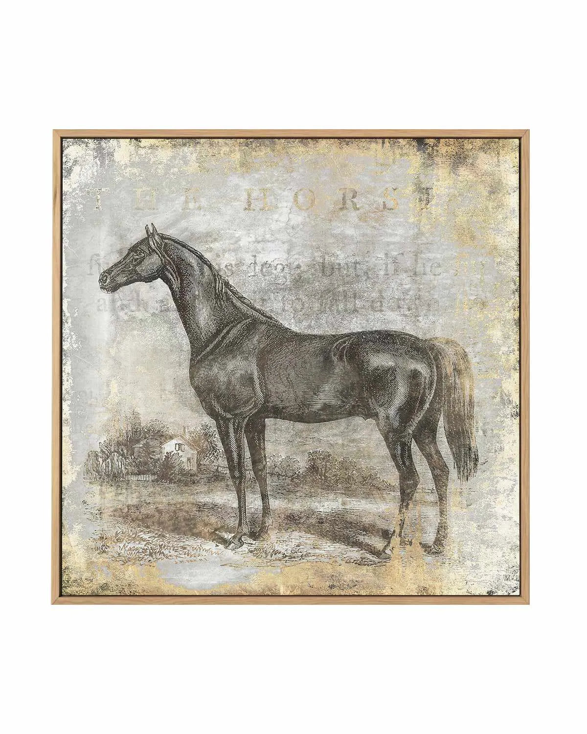 Gold Stallion I | Framed Canvas Art Print from Olive et Oriel where you can shop wallpaper and artworks online