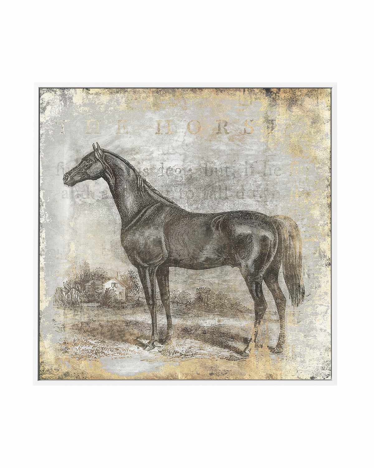 Gold Stallion I | Framed Canvas Art Print