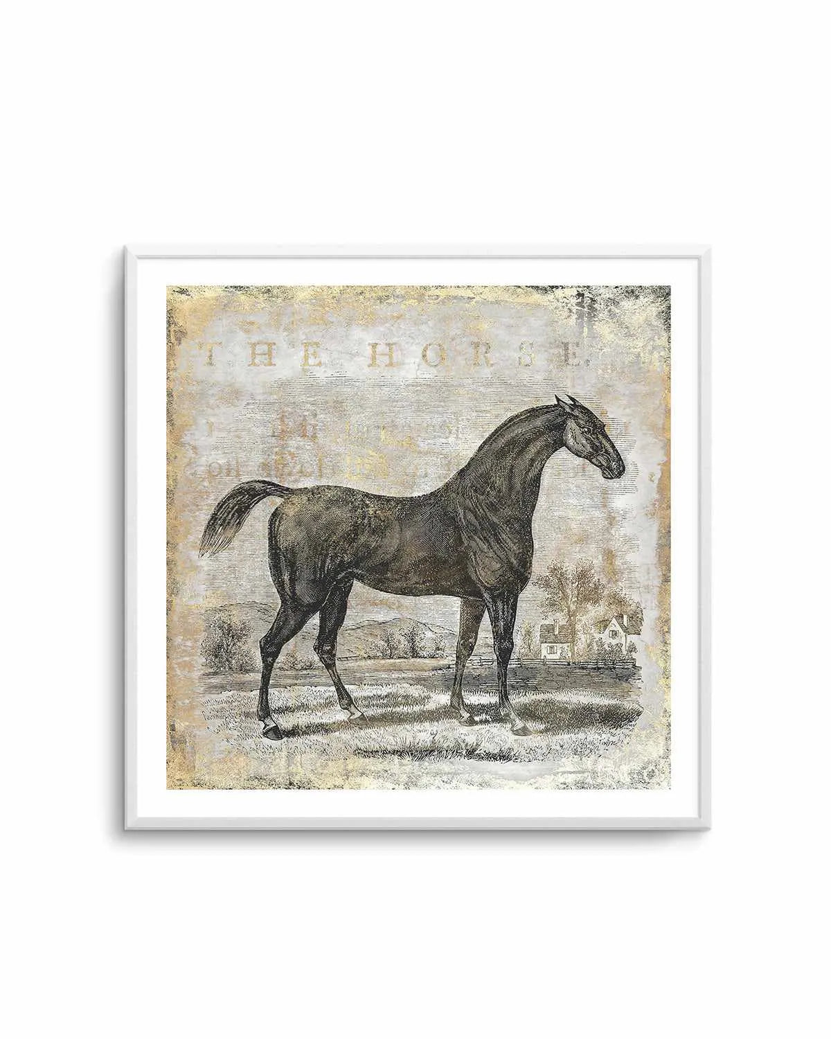 Gold Stallion II Art Print from Olive et Oriel where you can shop wallpaper and artworks online