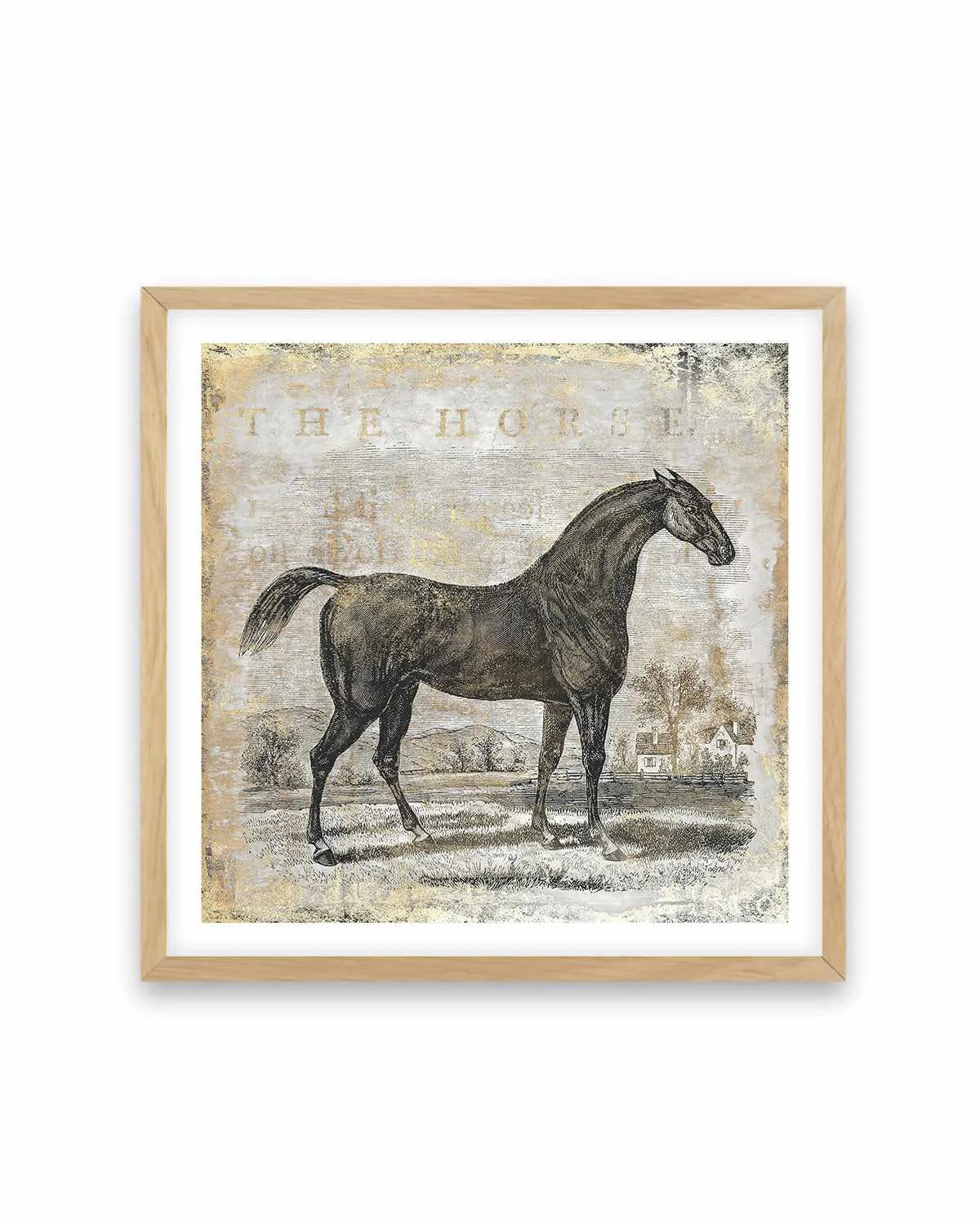 Gold Stallion II Art Print from Olive et Oriel where you can shop wallpaper and artworks online