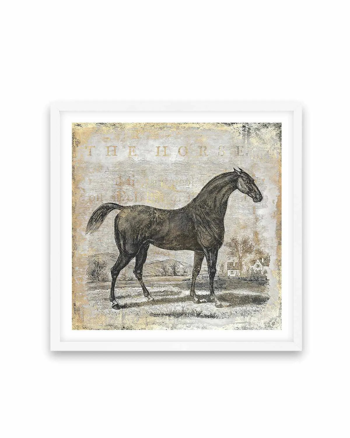 Gold Stallion II Art Print from Olive et Oriel where you can shop wallpaper and artworks online