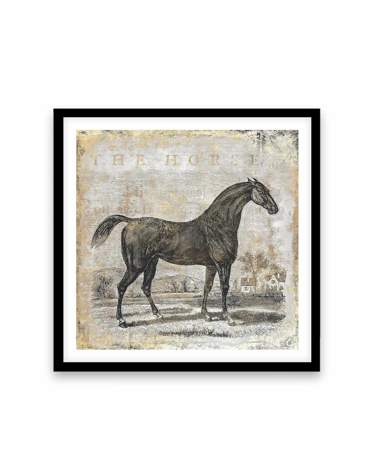 Gold Stallion II Art Print