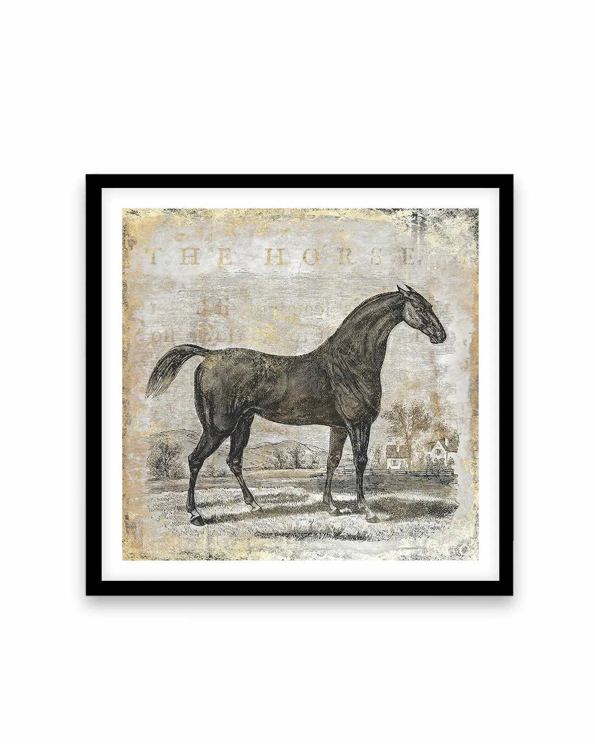 Gold Stallion II Art Print from Olive et Oriel where you can shop wallpaper and artworks online