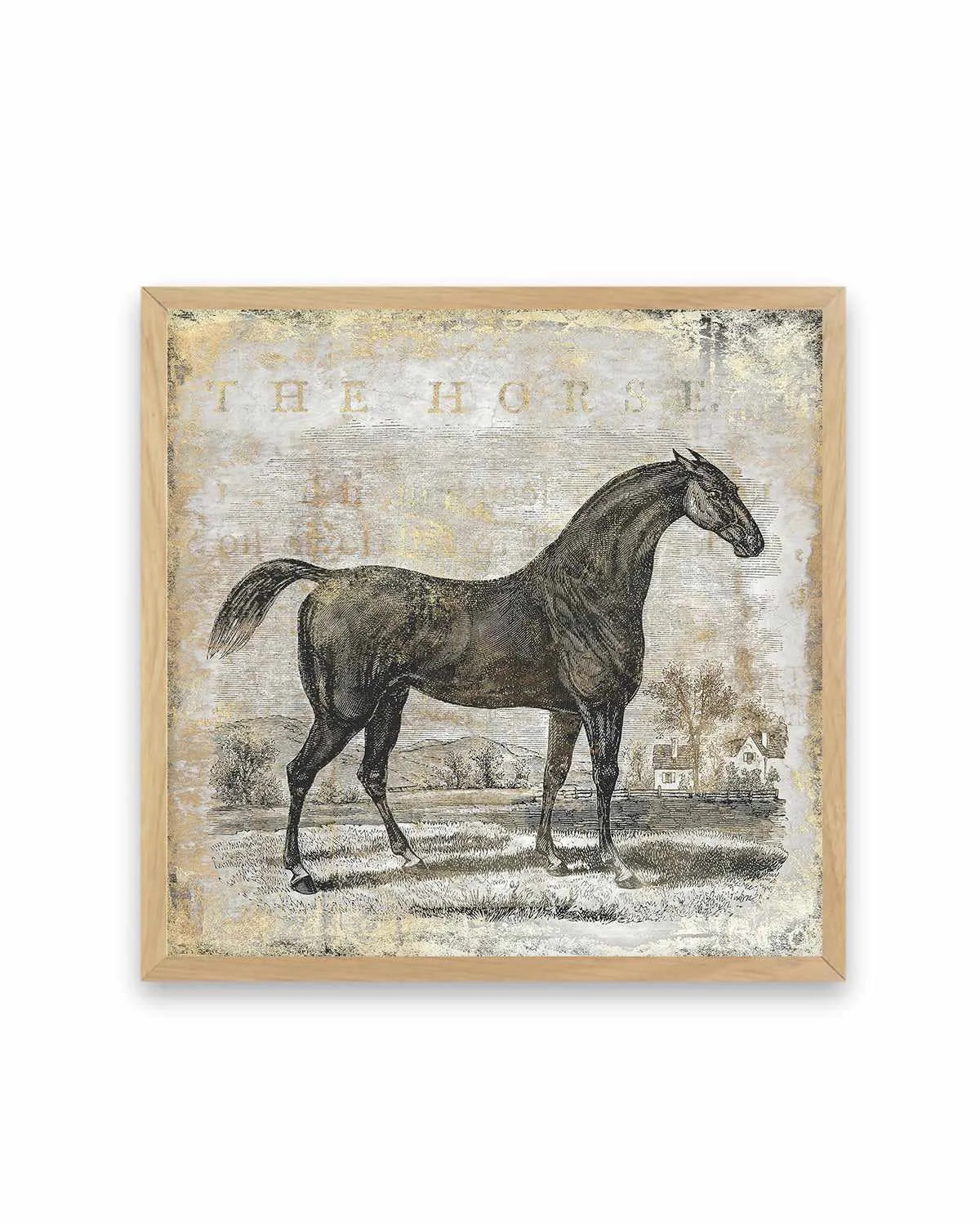Gold Stallion II Art Print from Olive et Oriel where you can shop wallpaper and artworks online