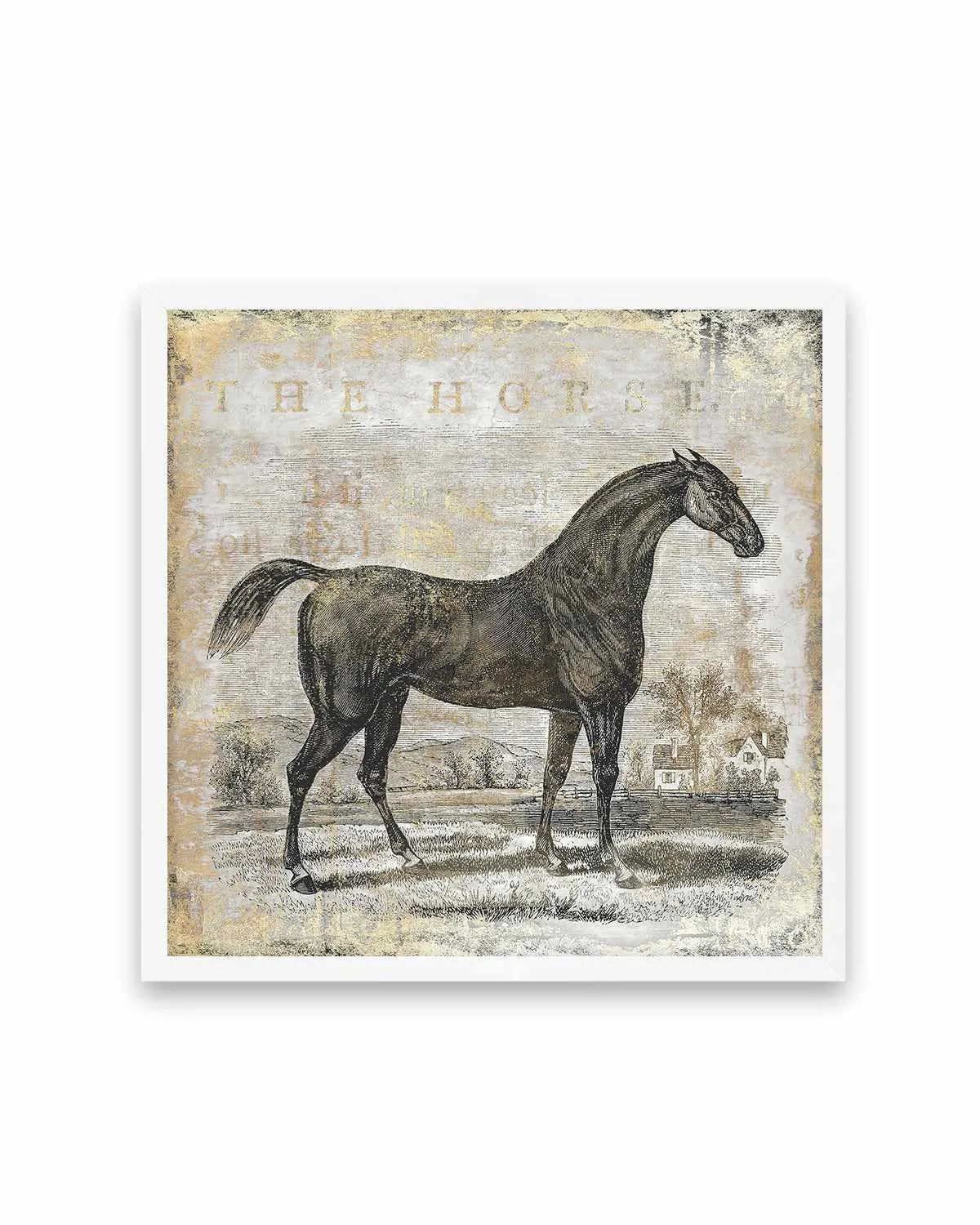 Gold Stallion II Art Print from Olive et Oriel where you can shop wallpaper and artworks online