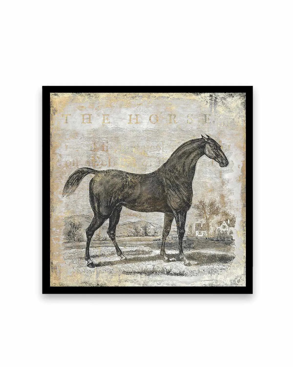 Gold Stallion II Art Print from Olive et Oriel where you can shop wallpaper and artworks online