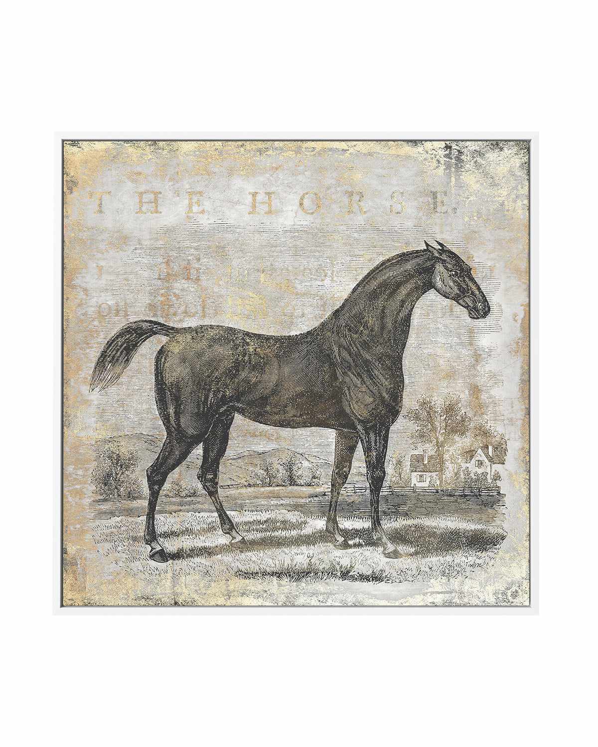 Gold Stallion II | Framed Canvas Art Print