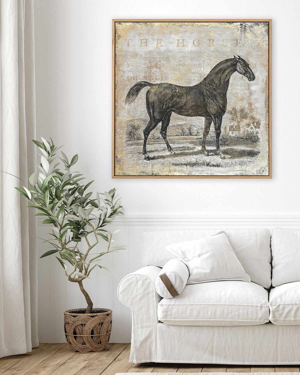 Gold Stallion II | Framed Canvas Art Print