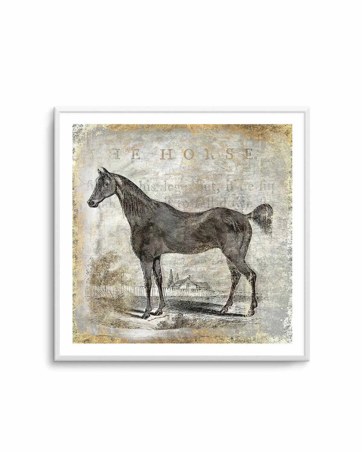 Gold Stallion III Art Print from Olive et Oriel where you can shop wallpaper and artworks online