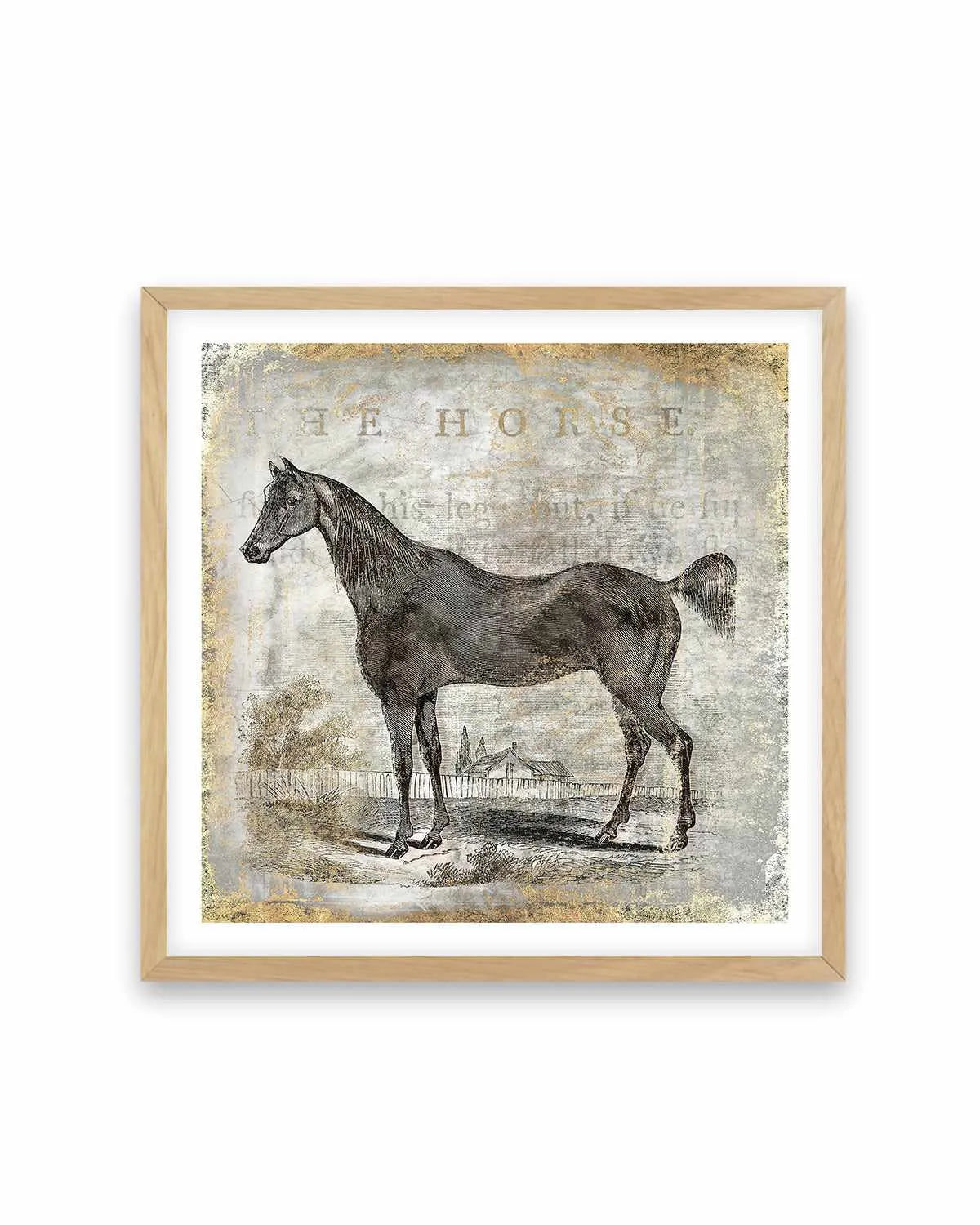 Gold Stallion III Art Print from Olive et Oriel where you can shop wallpaper and artworks online