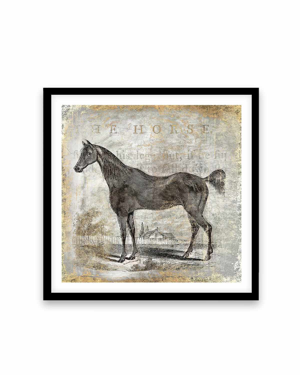 Gold Stallion III Art Print