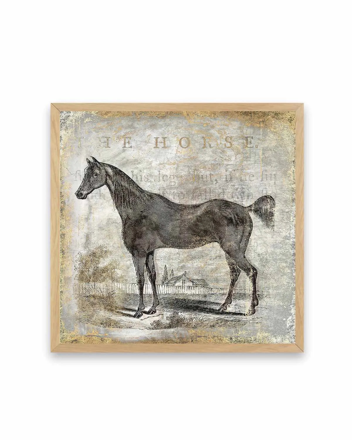 Gold Stallion III Art Print from Olive et Oriel where you can shop wallpaper and artworks online