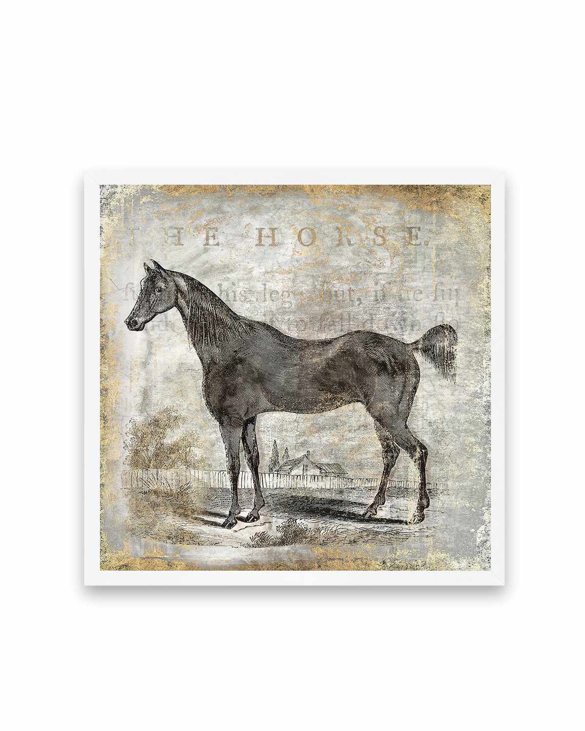 Gold Stallion III Art Print