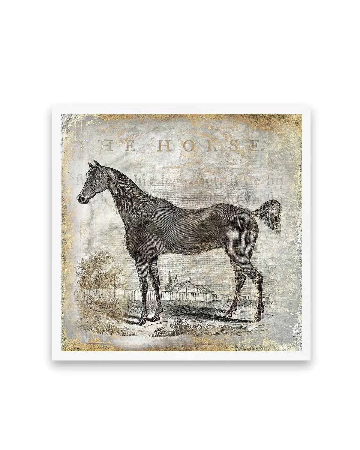 Gold Stallion III Art Print from Olive et Oriel where you can shop wallpaper and artworks online