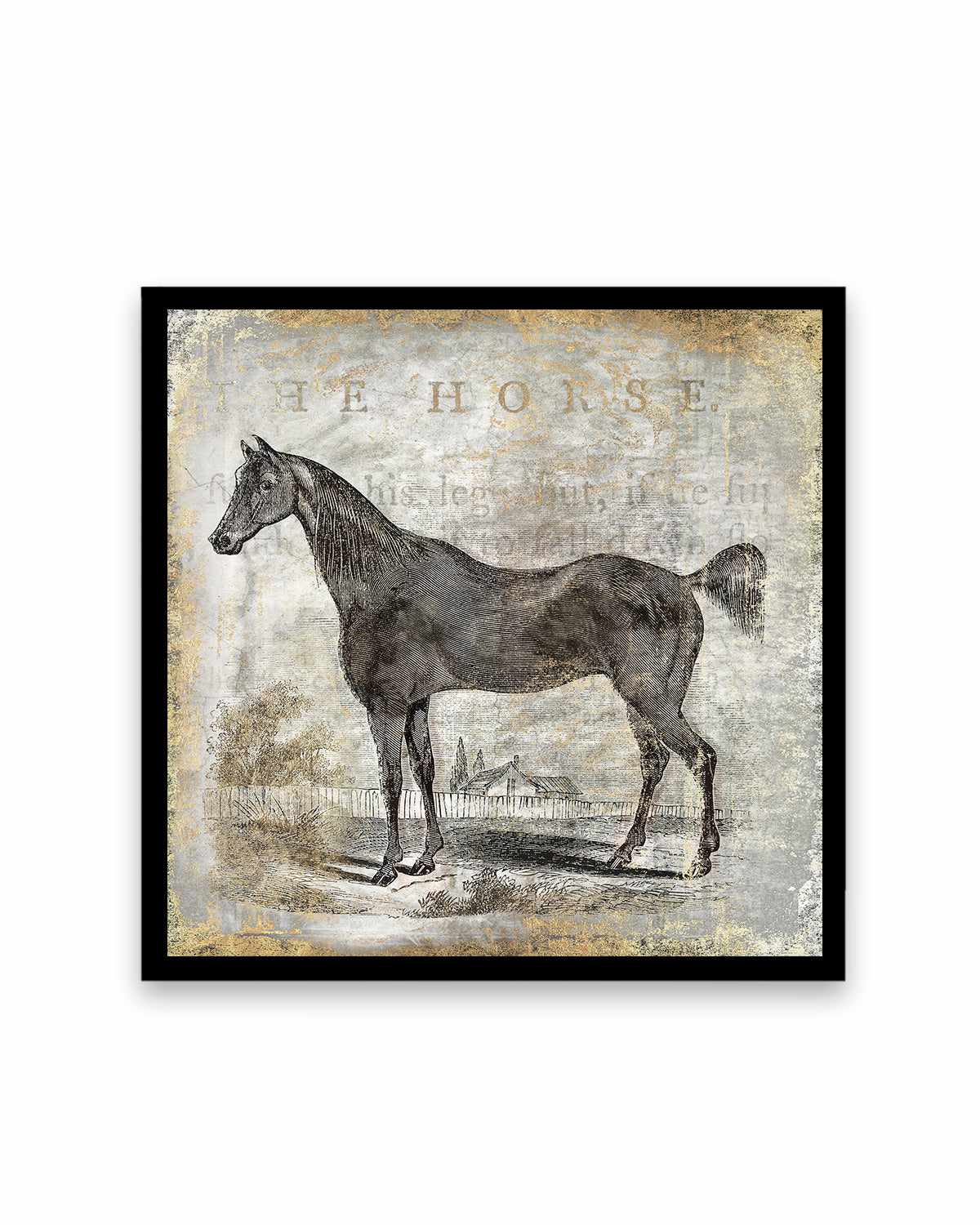 Gold Stallion III Art Print