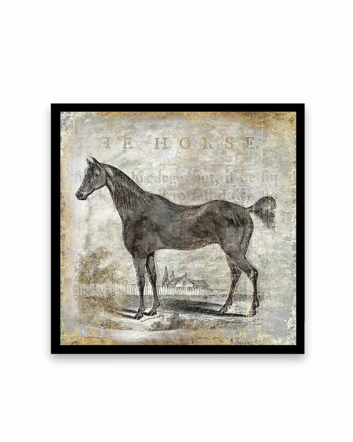 Gold Stallion III Art Print from Olive et Oriel where you can shop wallpaper and artworks online