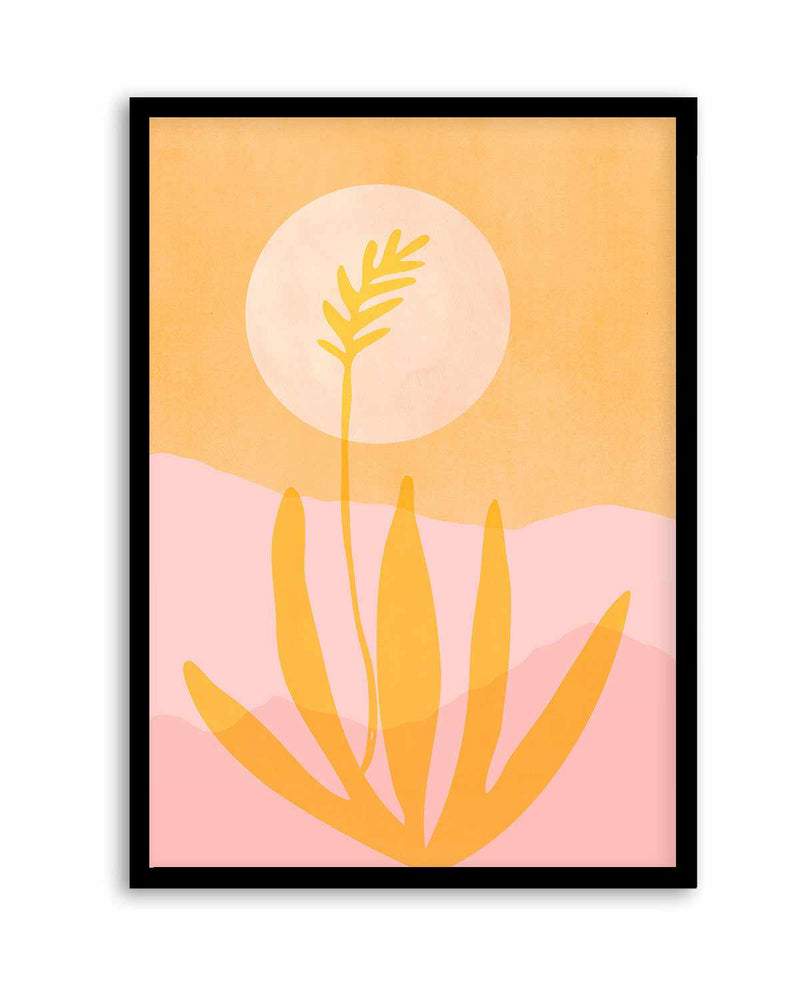 Golden Agave Sunset By Kristian Gallagher | Art Print