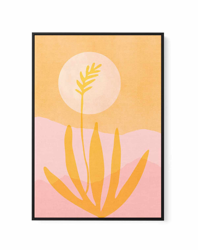 Golden Agave Sunset By Kristian Gallagher | Framed Canvas Art Print