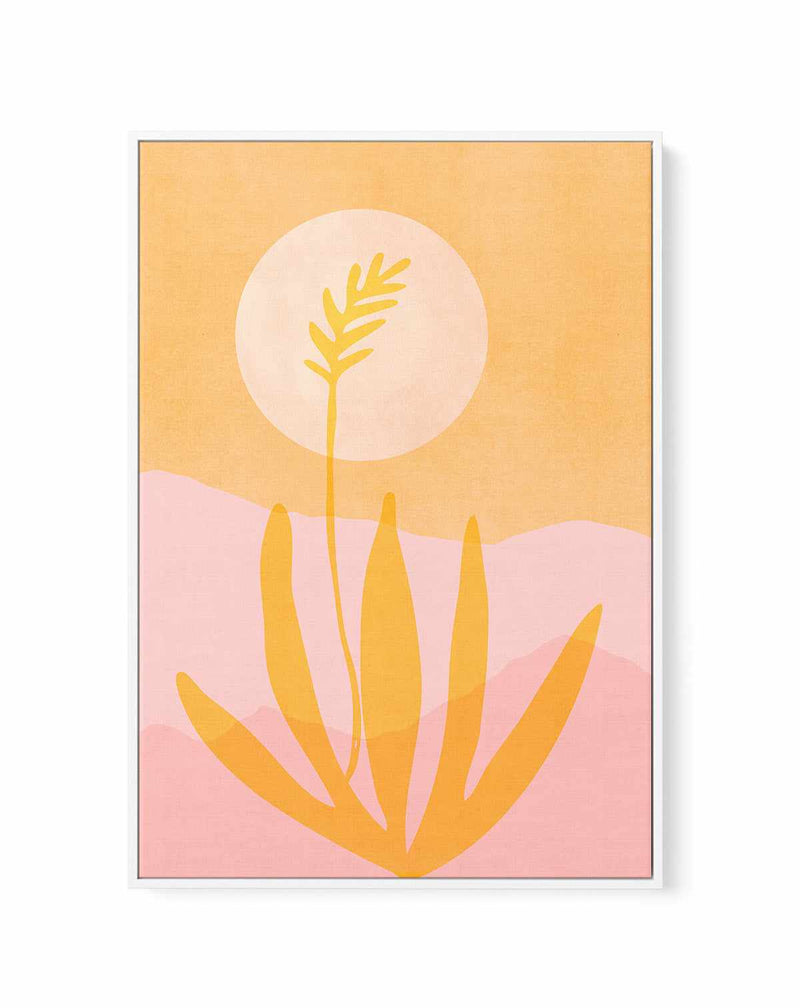 Golden Agave Sunset By Kristian Gallagher | Framed Canvas Art Print from Olive et Oriel where you can shop wallpaper and artworks online