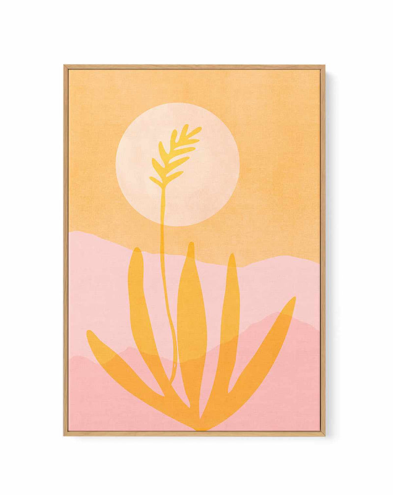 Golden Agave Sunset By Kristian Gallagher | Framed Canvas Art Print