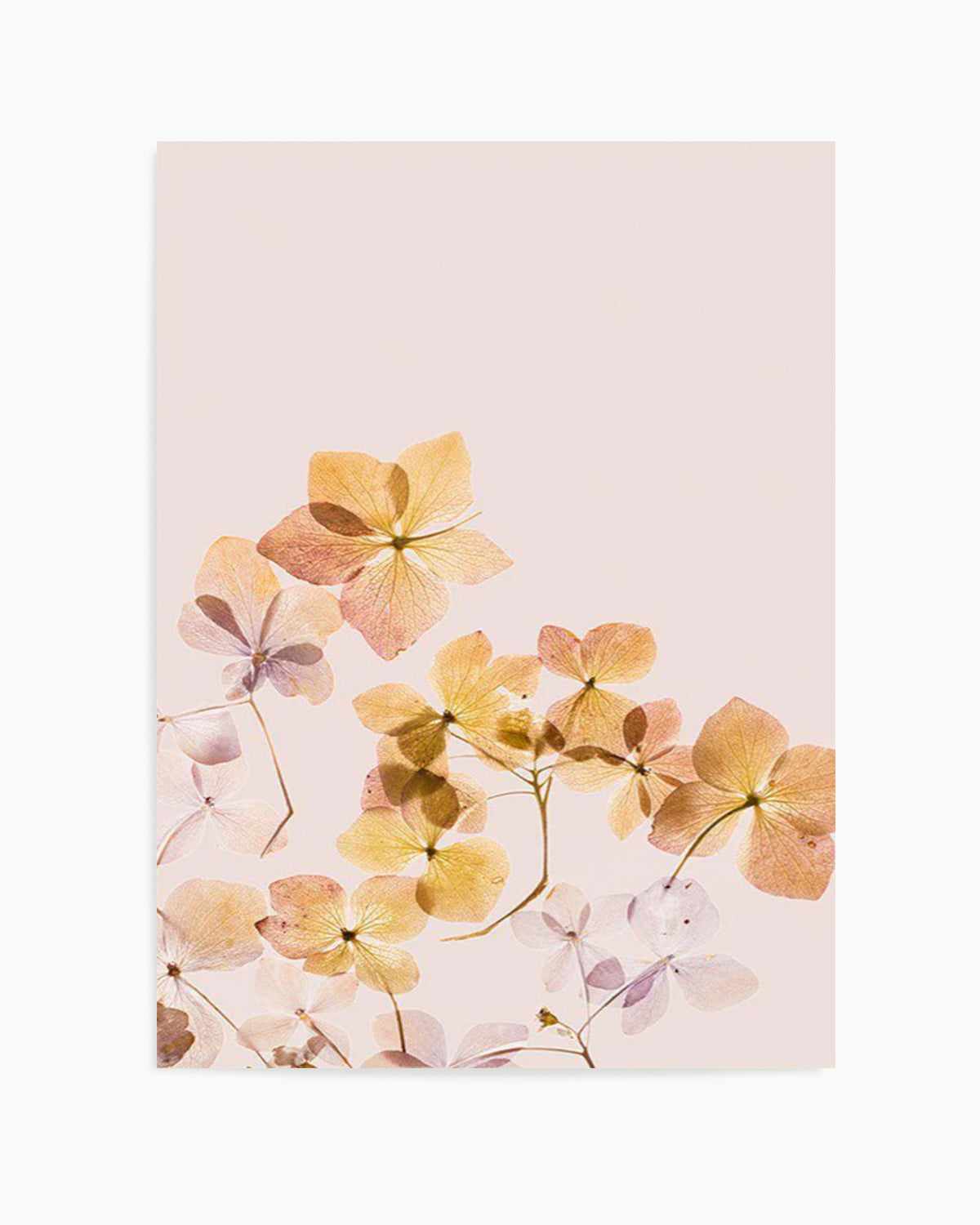 Golden Botanica | Right Art Print