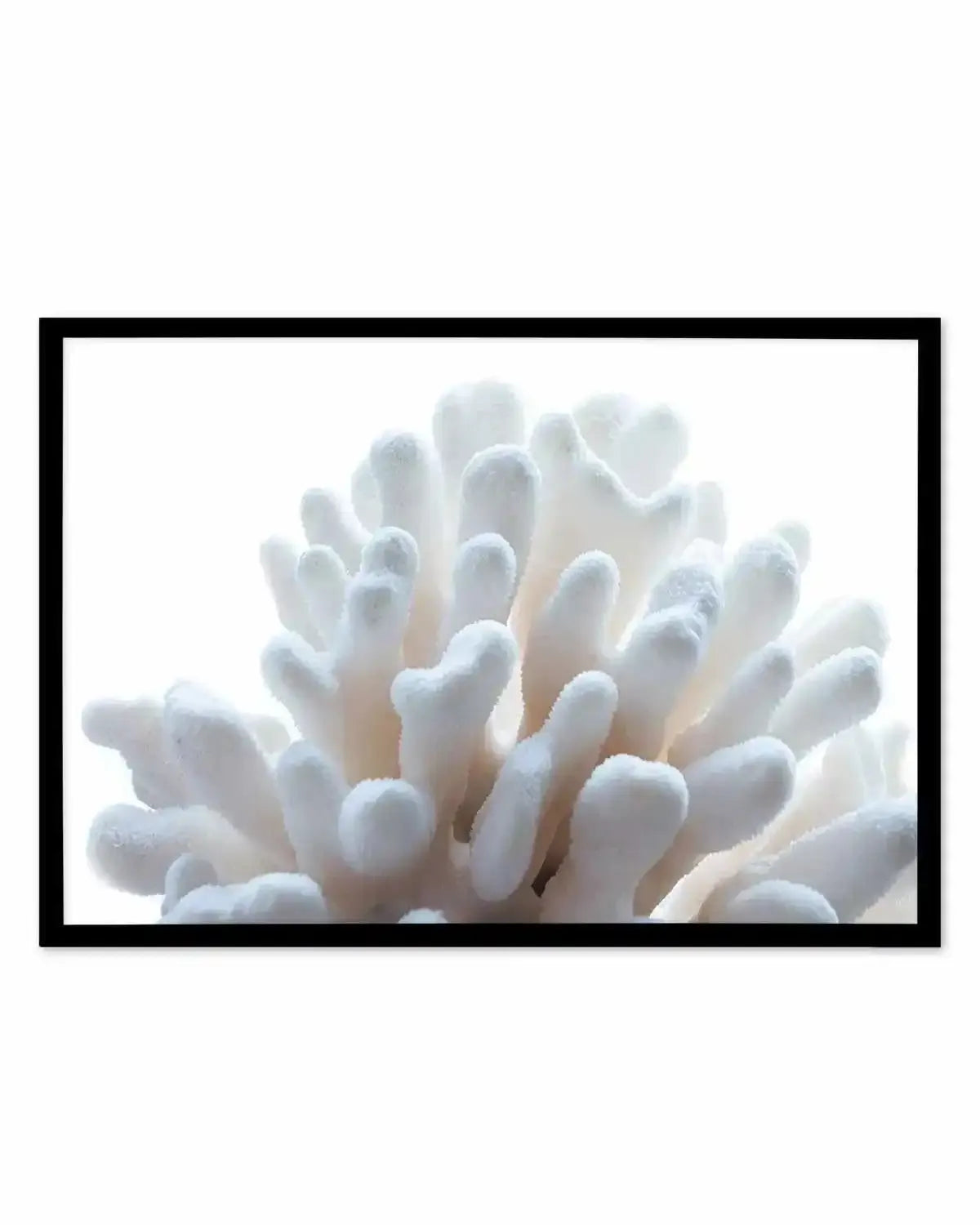 Golden Coral | LS Art Print from Olive et Oriel where you can shop wallpaper and artworks online