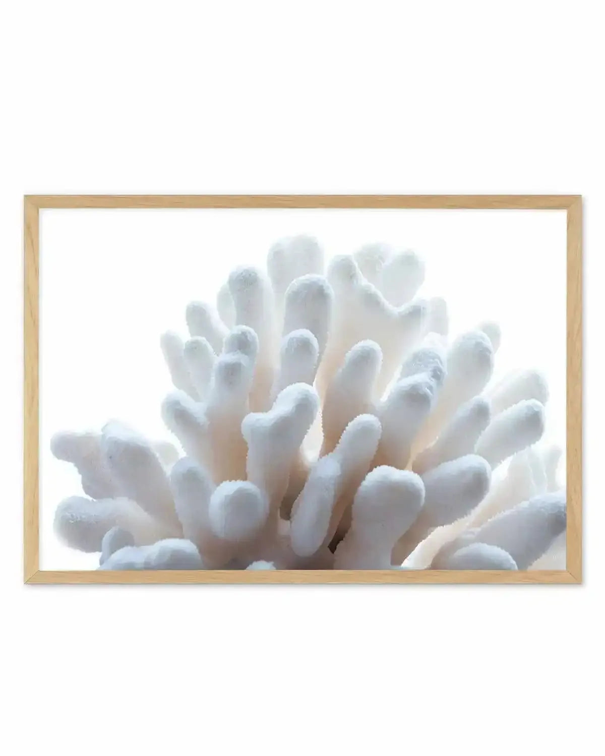 Golden Coral | LS Art Print from Olive et Oriel where you can shop wallpaper and artworks online