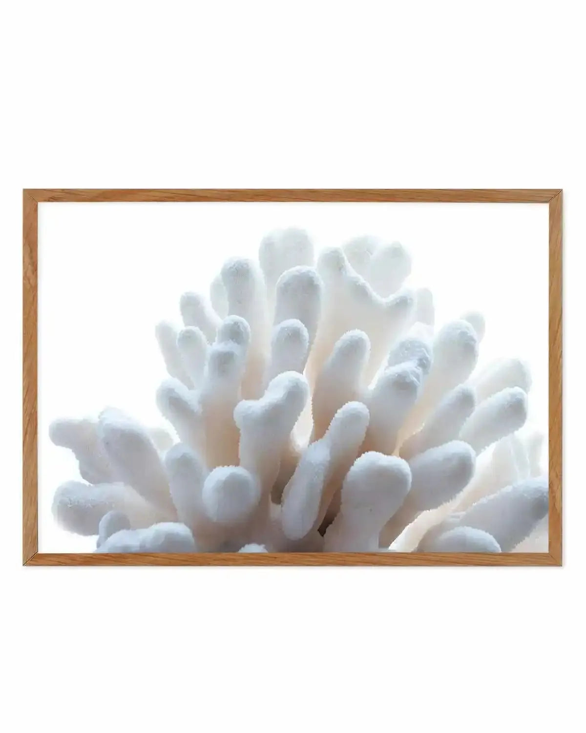 Golden Coral | LS Art Print from Olive et Oriel where you can shop wallpaper and artworks online