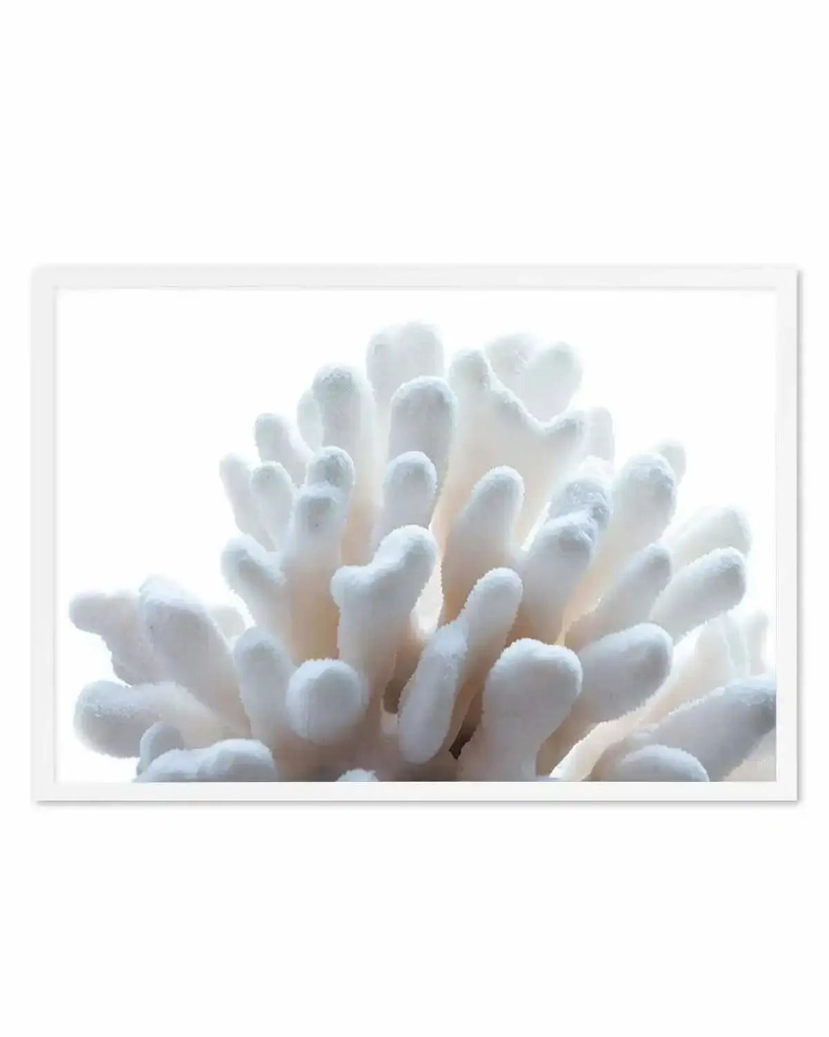 Golden Coral | LS Art Print from Olive et Oriel where you can shop wallpaper and artworks online