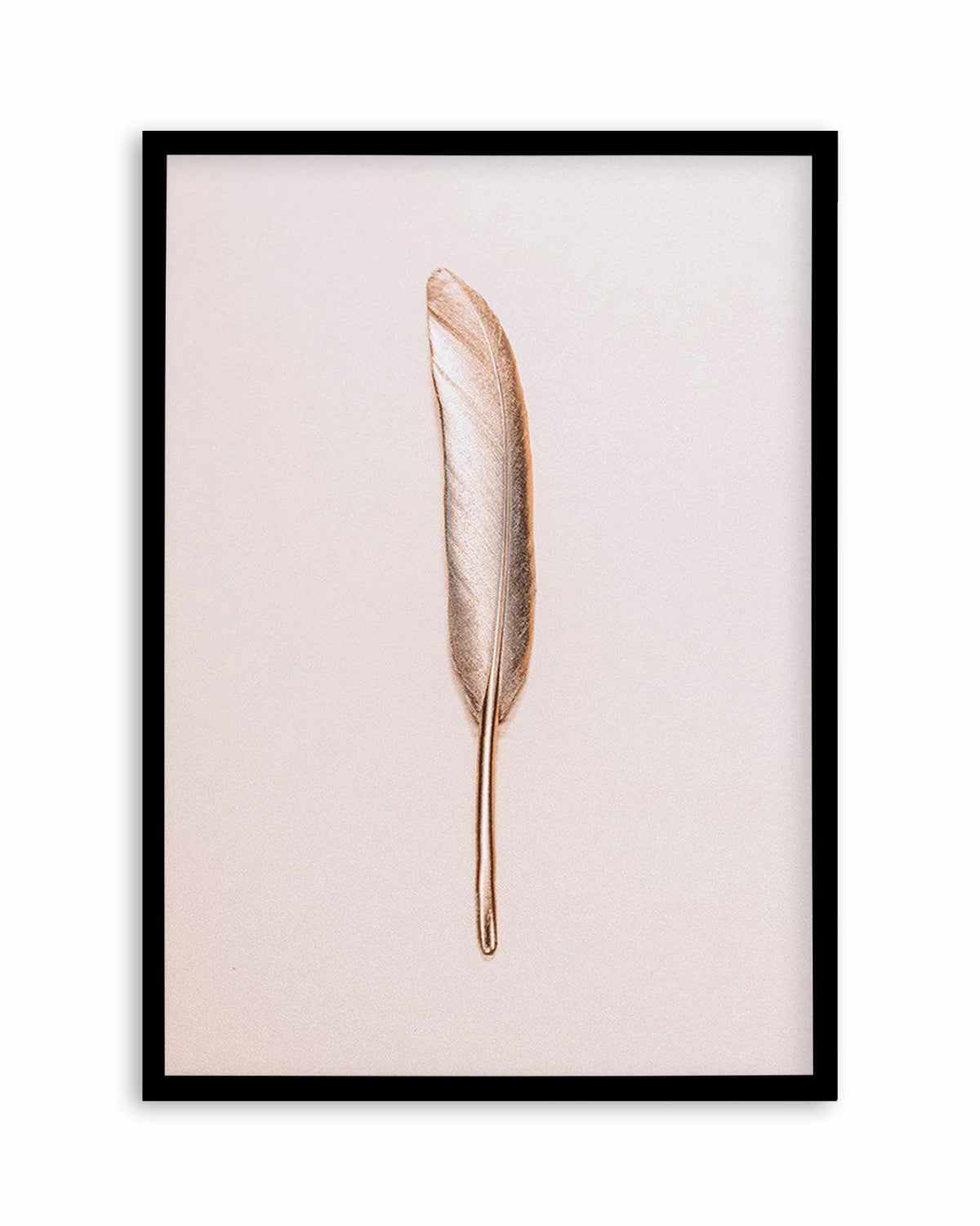 Golden Feather Art Print