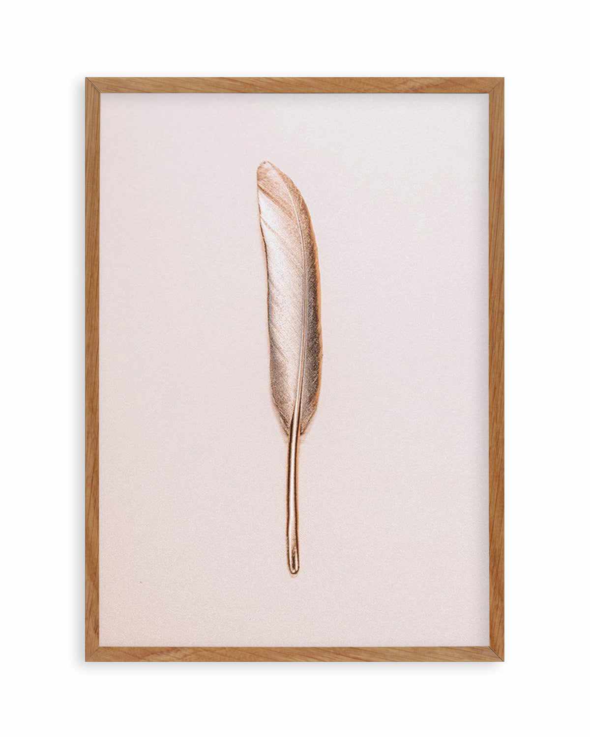 Golden Feather Art Print