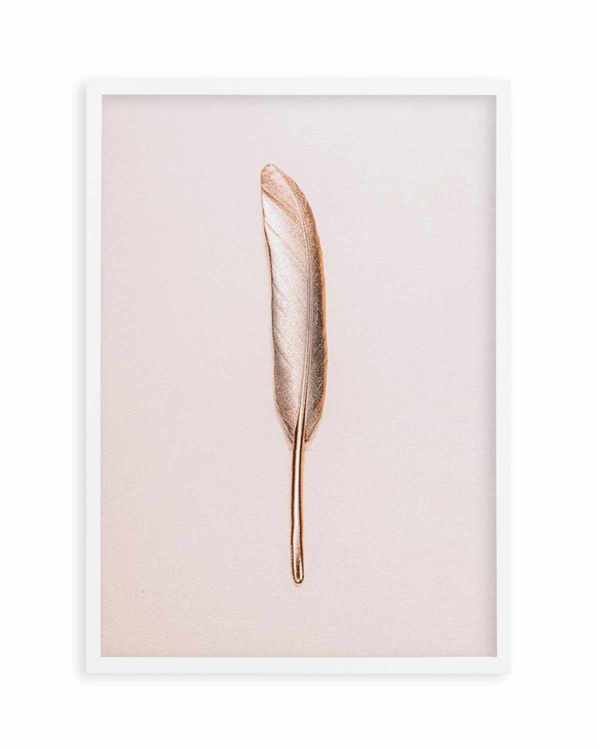 Golden Feather Art Print