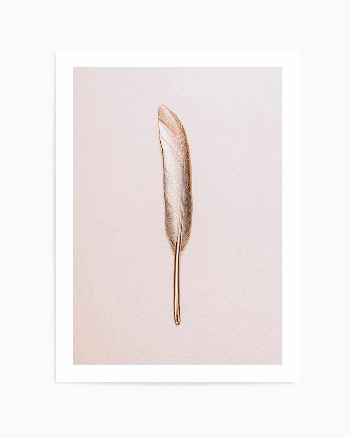 Golden Feather Art Print