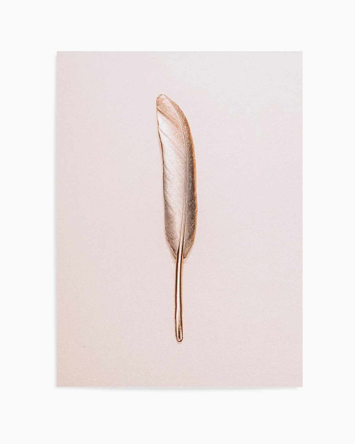 Golden Feather Art Print