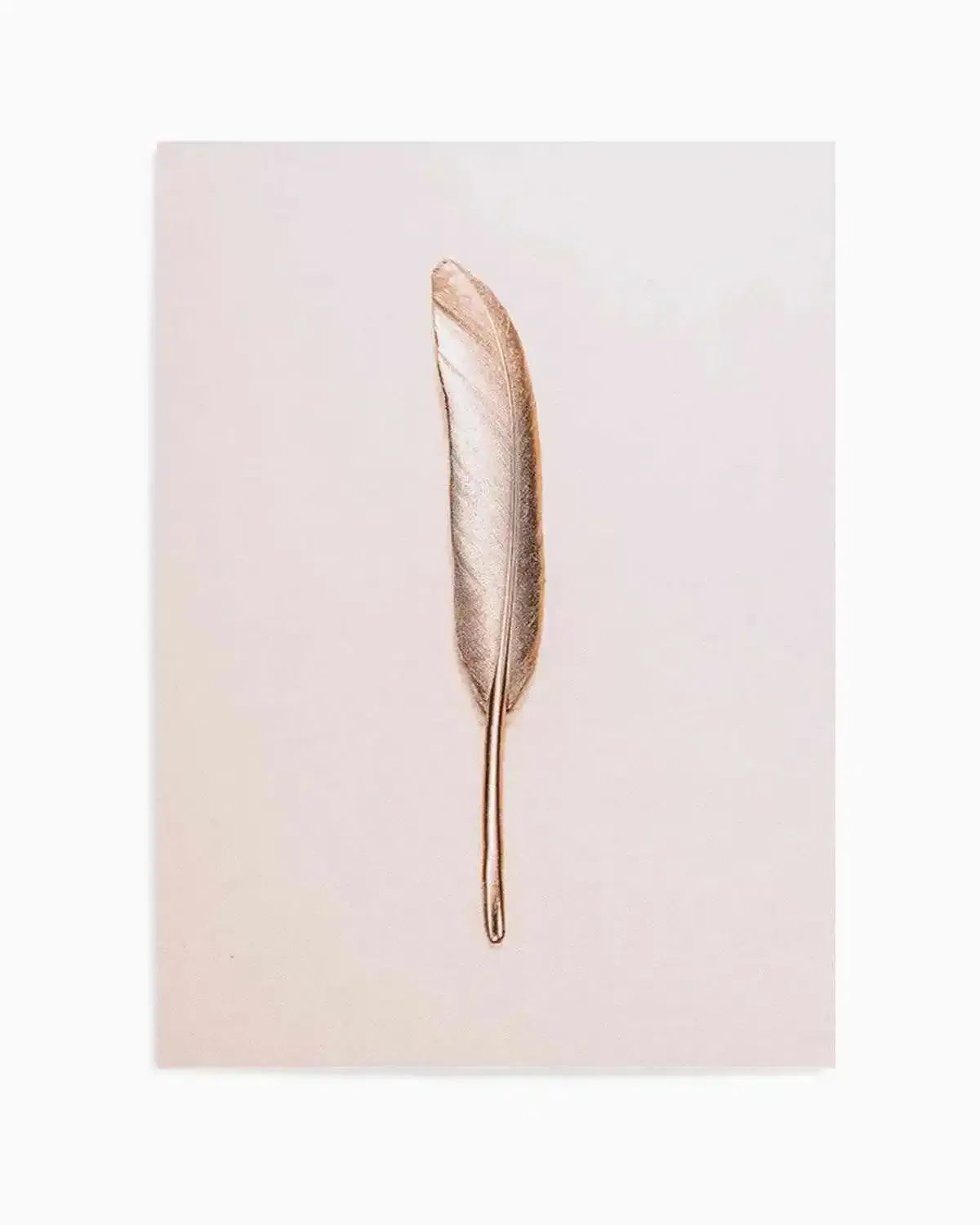 Golden Feather Art Print from Olive et Oriel where you can shop wallpaper and artworks online
