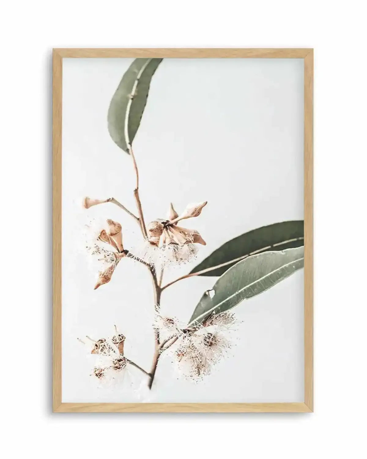 Golden Gum Art Print from Olive et Oriel where you can shop wallpaper and artworks online