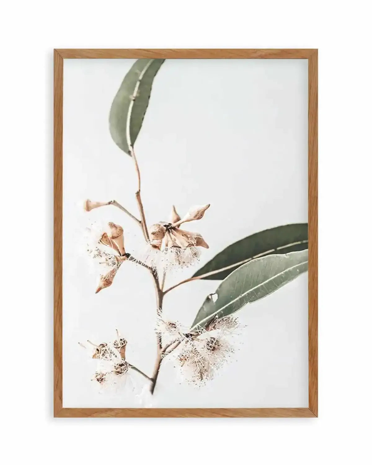 Golden Gum Art Print from Olive et Oriel where you can shop wallpaper and artworks online