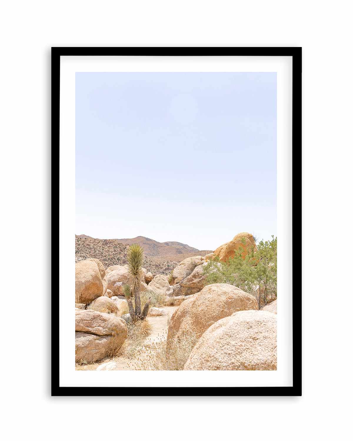 Golden Joshua Tree Art Print