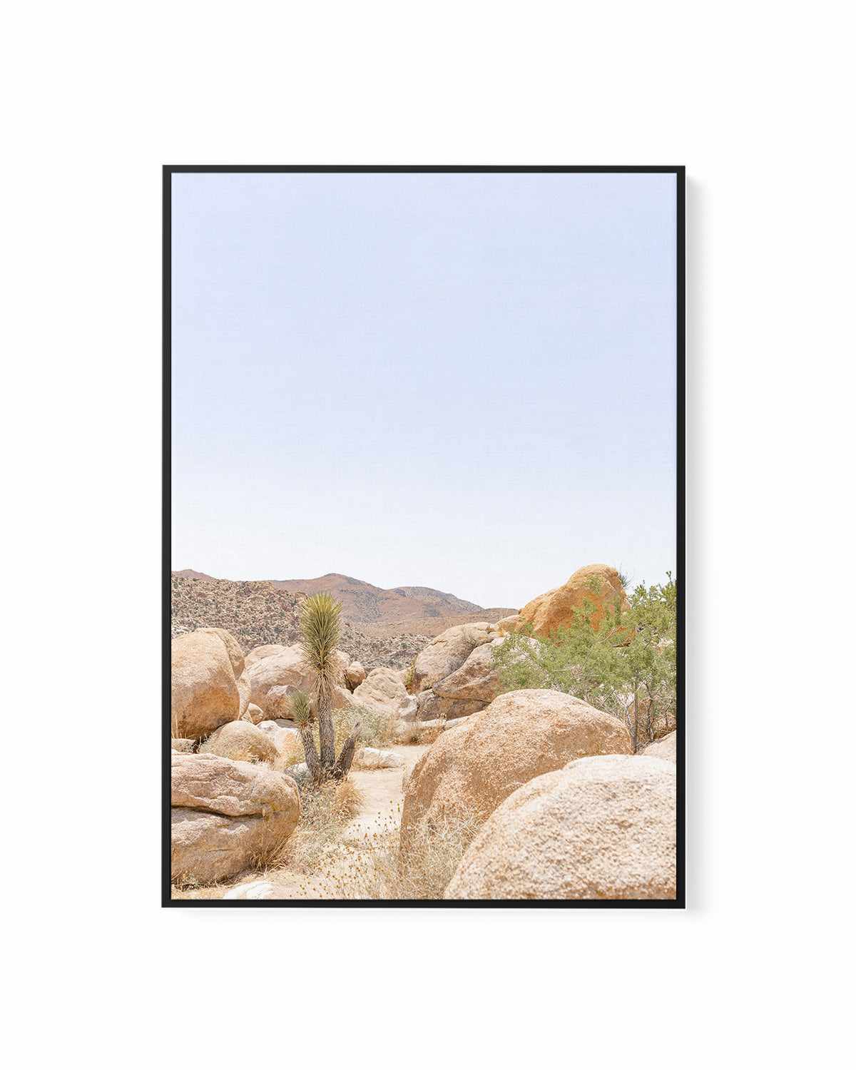 Golden Joshua Tree | Framed Canvas Art Print