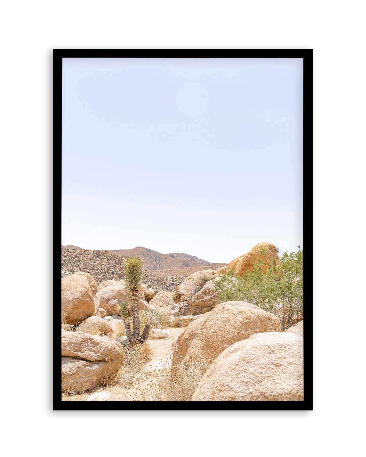 Golden Joshua Tree Art Print