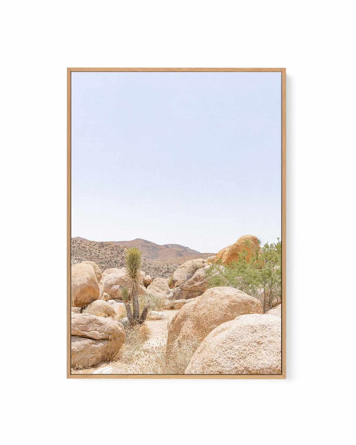 Golden Joshua Tree | Framed Canvas Art Print