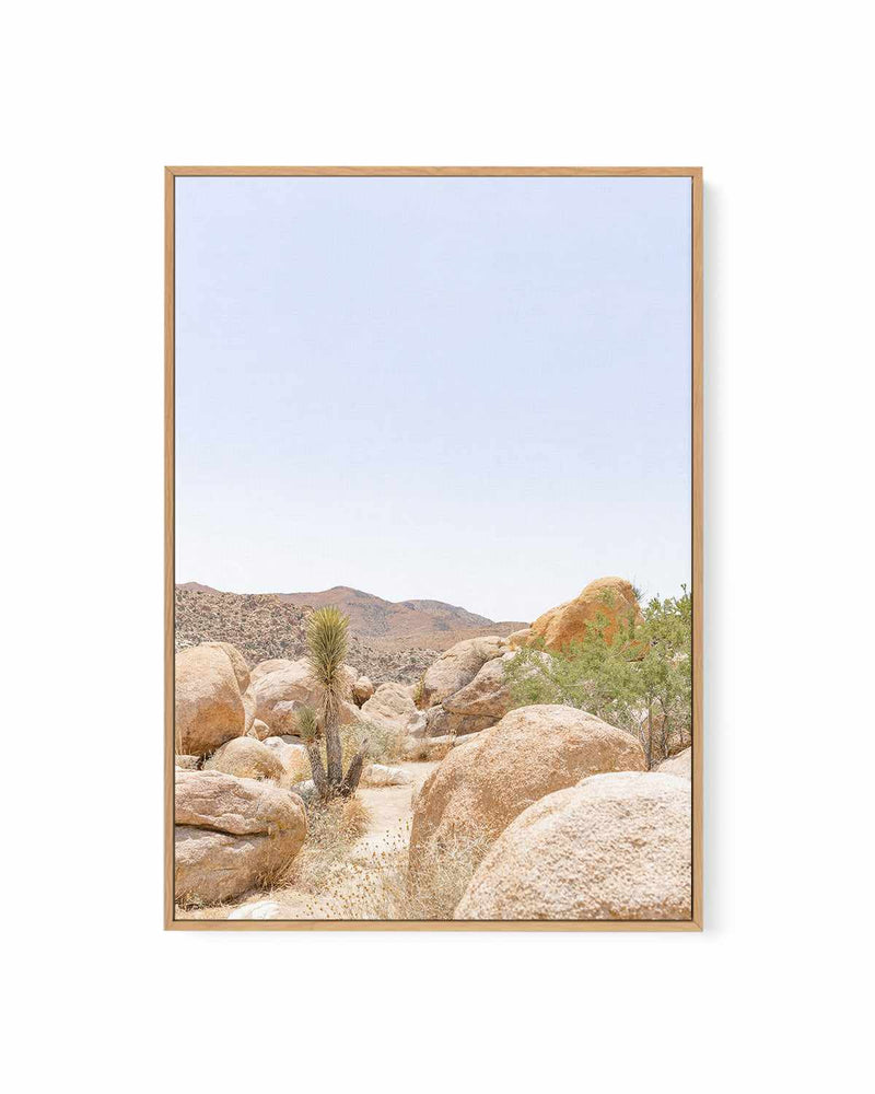 Golden Joshua Tree | Framed Canvas Art Print