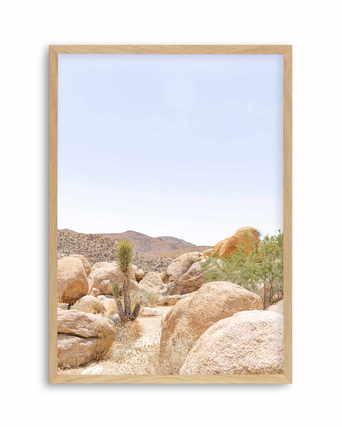 Golden Joshua Tree Art Print