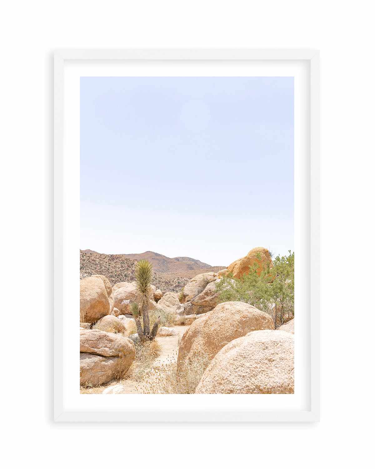 Golden Joshua Tree Art Print